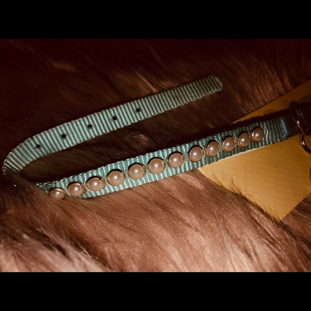 Collar for Small Dogs